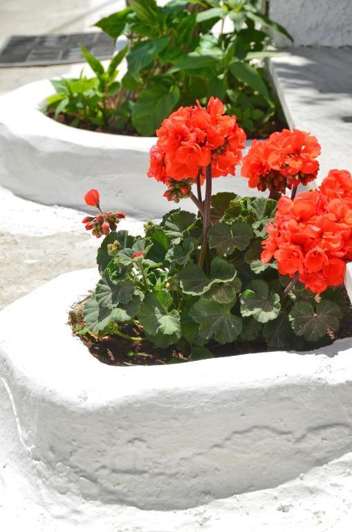 Aparthotel Blue Sky Naxos City Pokój zdjęcie